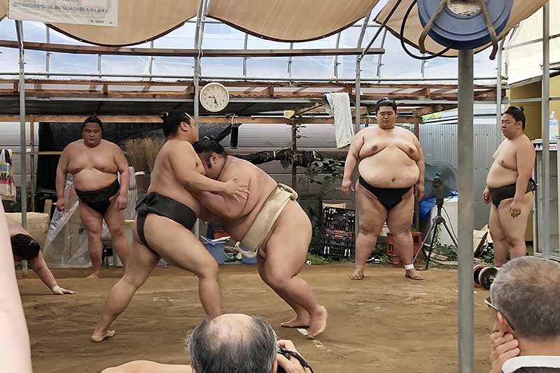 19年夏の相撲部屋見学 Asahi文化学院 19年夏の相撲部屋見学 Asahi文化学院